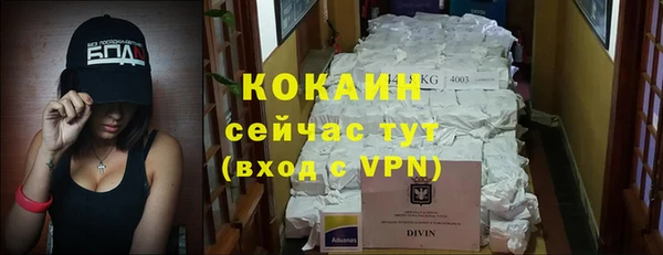 сатива Пестово