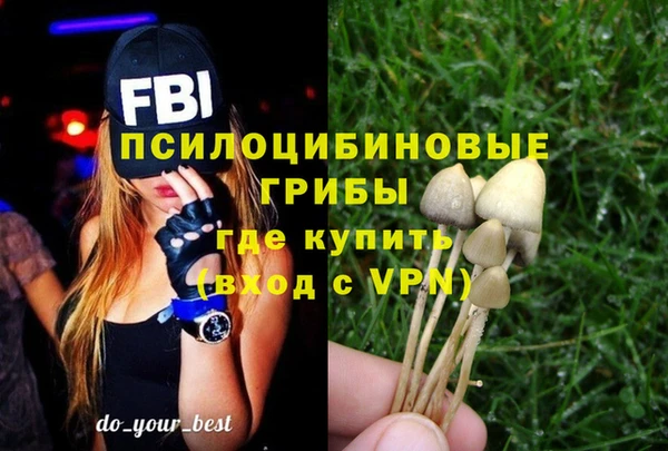меф Переславль-Залесский