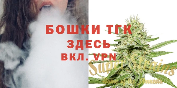 не бодяженный Пересвет