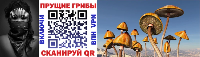 Галлюциногенные грибы MAGIC MUSHROOMS  мега ссылки  Задонск 